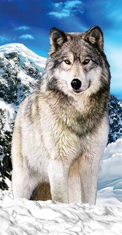 BR6115 Wolf on The Snow