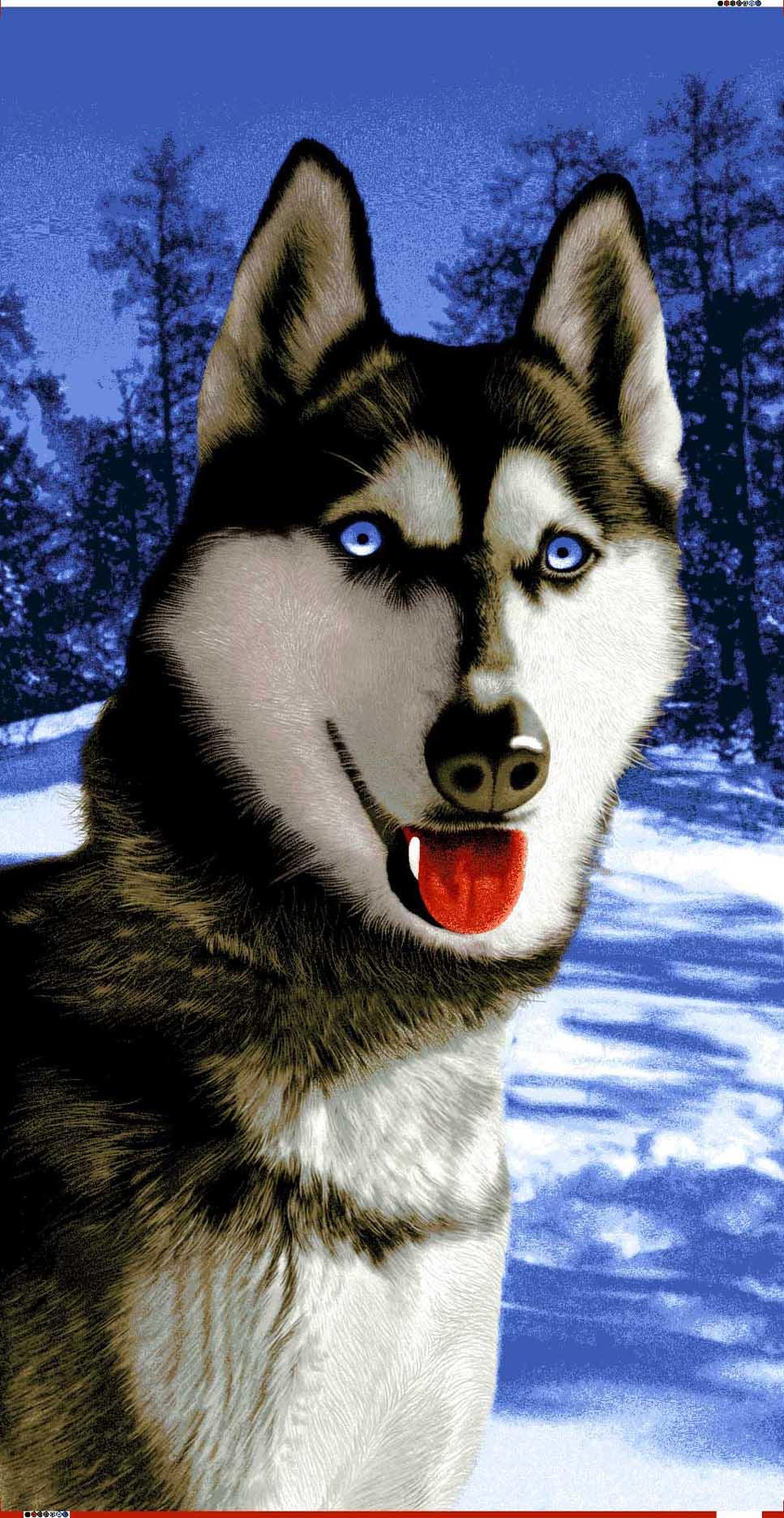 HUSKY BEACH TOWEL