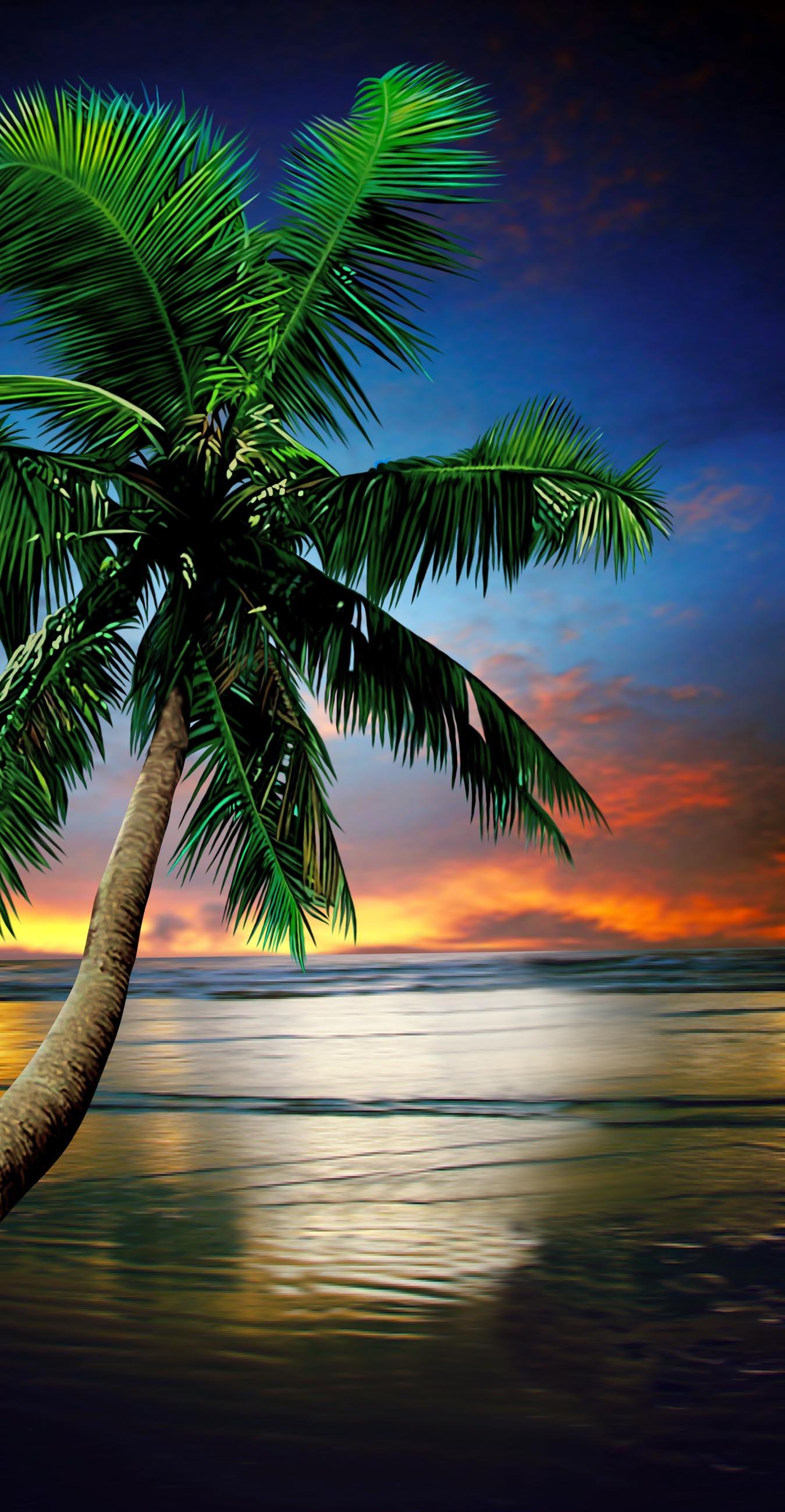 30X60 PALM TREE DELUXE TOWEL